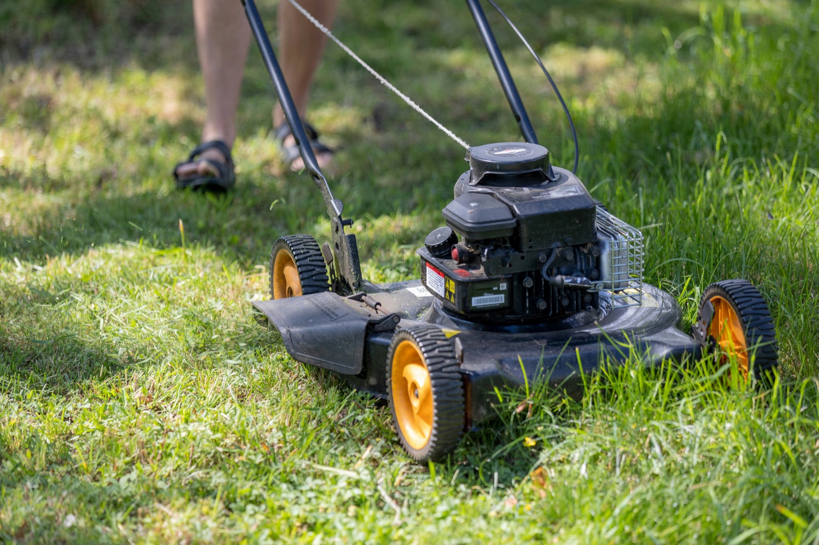 Custom Lawn Care Solutions in Euless, Texas by ERE Lawn Service